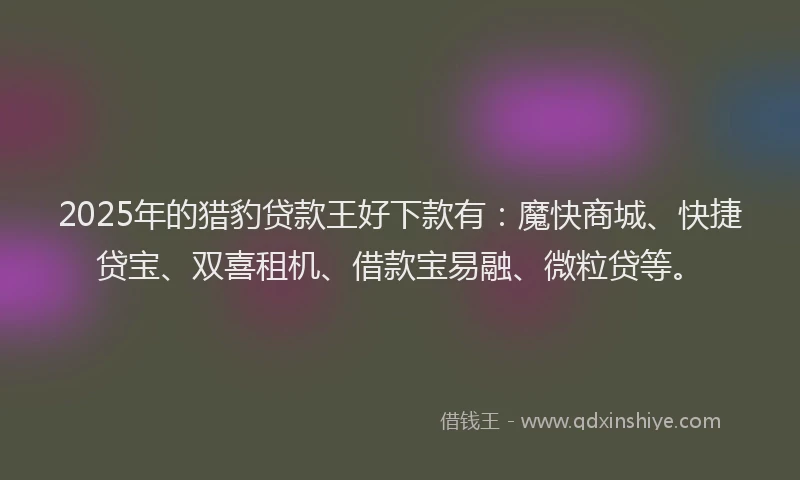 2025年的猎豹贷款王好下款有：魔快商城、快捷贷宝、双喜租机、借款宝易融、微粒贷等。