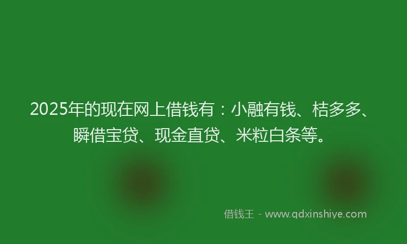 2025年的现在网上借钱有：小融有钱、桔多多、瞬借宝贷、现金直贷、米粒白条等。
