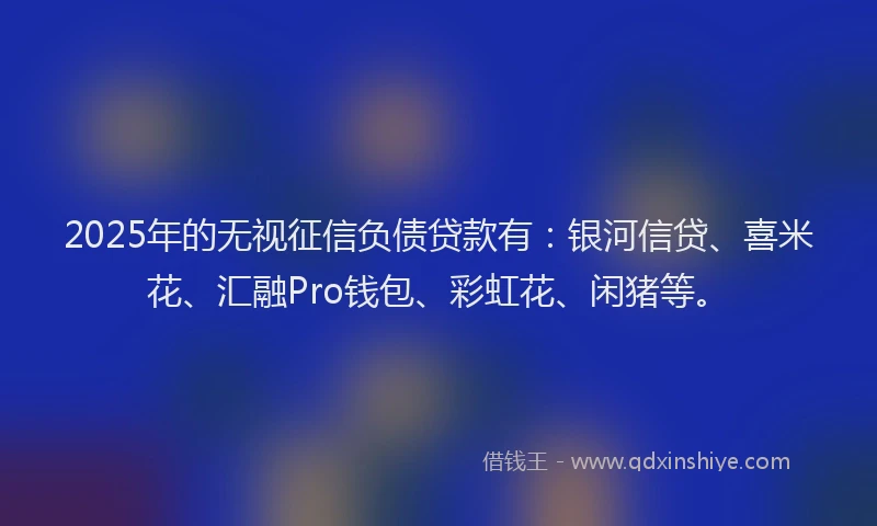 2025年的无视征信负债贷款有：银河信贷、喜米花、汇融Pro钱包、彩虹花、闲猪等。