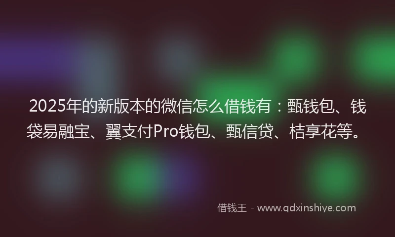 2025年的新版本的微信怎么借钱有：甄钱包、钱袋易融宝、翼支付Pro钱包、甄信贷、桔享花等。