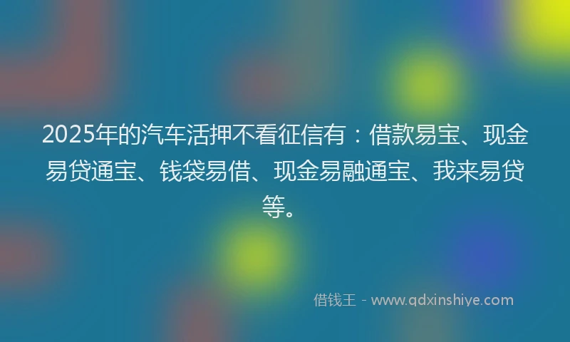 2025年的汽车活押不看征信有：借款易宝、现金易贷通宝、钱袋易借、现金易融通宝、我来易贷等。