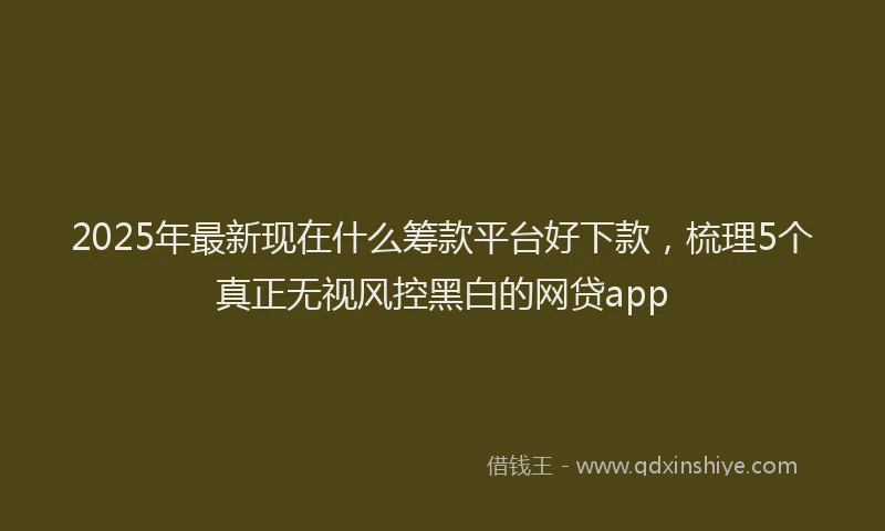 2025年最新现在什么筹款平台好下款，梳理5个真正无视风控黑白的网贷app