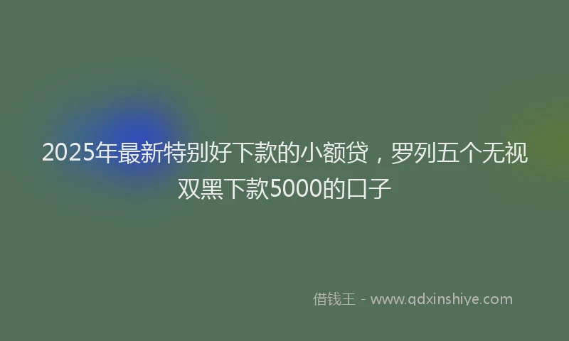 2025年最新特别好下款的小额贷，罗列五个无视双黑下款5000的口子