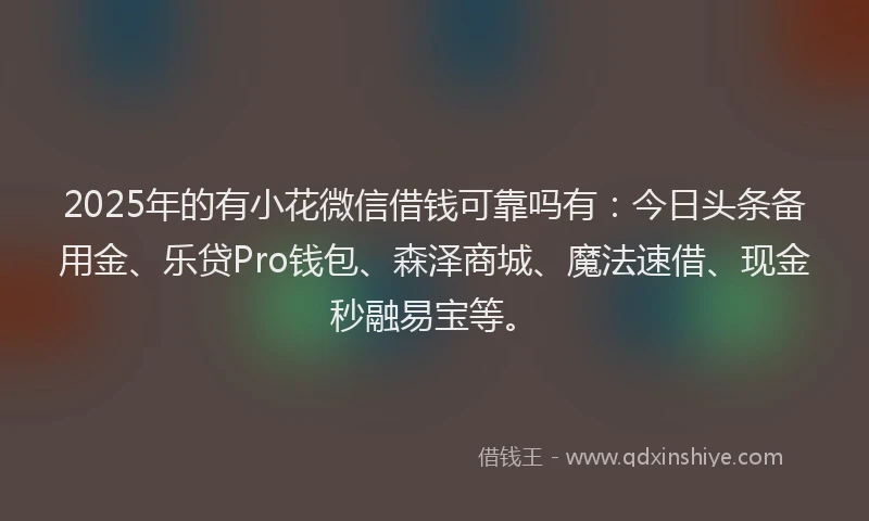 2025年的有小花微信借钱可靠吗有：今日头条备用金、乐贷Pro钱包、森泽商城、魔法速借、现金秒融易宝等。