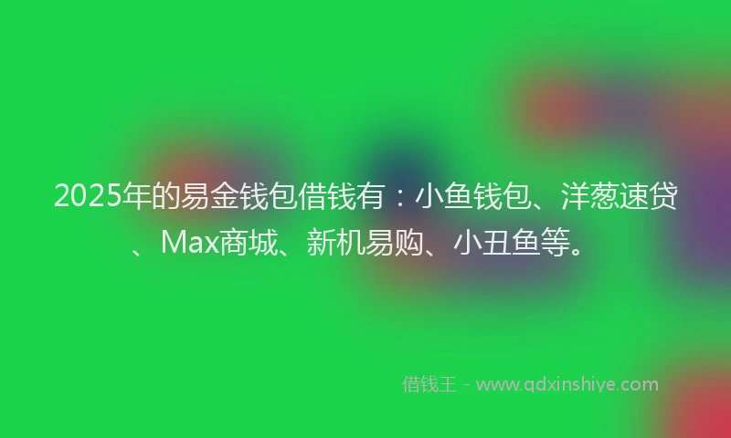 2025年的易金钱包借钱有：小鱼钱包、洋葱速贷、Max商城、新机易购、小丑鱼等。