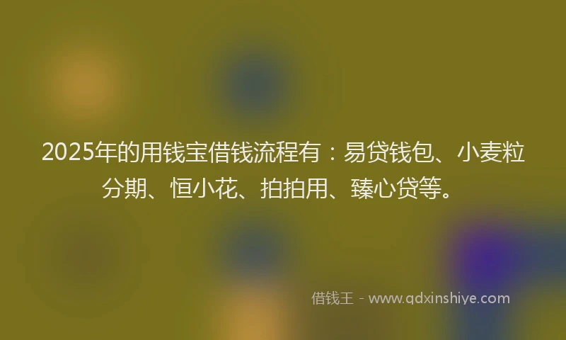 2025年的用钱宝借钱流程有：易贷钱包、小麦粒分期、恒小花、拍拍用、臻心贷等。