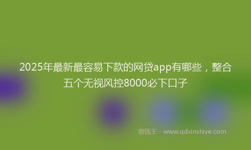 2025年最新最容易下款的网贷app有哪些，整合五个无视风控8000必下口子