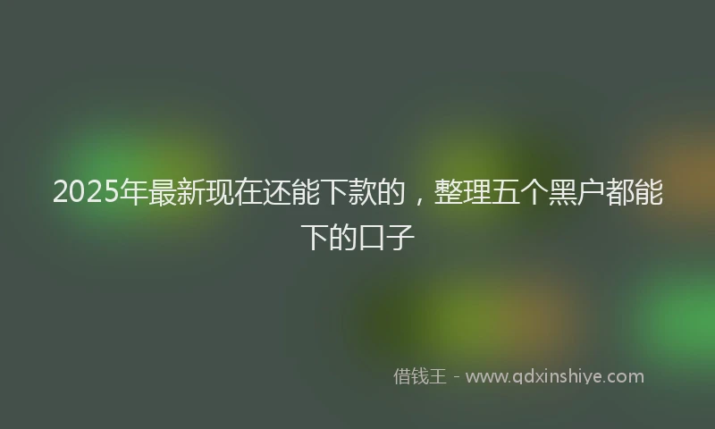 2025年最新现在还能下款的，整理五个黑户都能下的口子