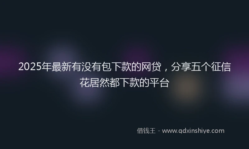 2025年最新有没有包下款的网贷，分享五个征信花居然都下款的平台