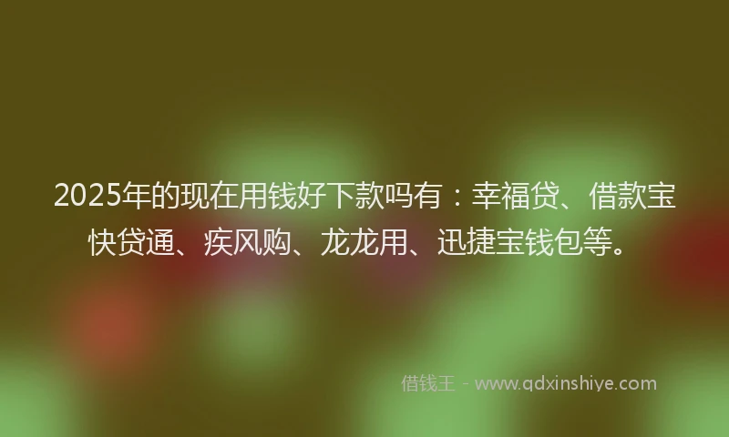 2025年的现在用钱好下款吗有：幸福贷、借款宝快贷通、疾风购、龙龙用、迅捷宝钱包等。