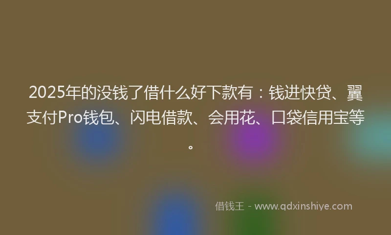 2025年的没钱了借什么好下款有：钱进快贷、翼支付Pro钱包、闪电借款、会用花、口袋信用宝等。