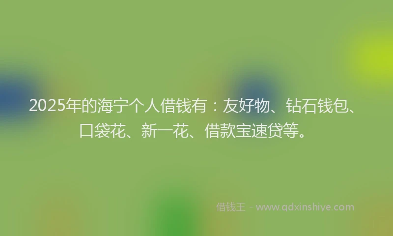 2025年的海宁个人借钱有：友好物、钻石钱包、口袋花、新一花、借款宝速贷等。