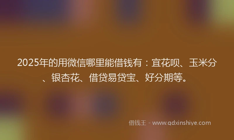 2025年的用微信哪里能借钱有：宜花呗、玉米分、银杏花、借贷易贷宝、好分期等。