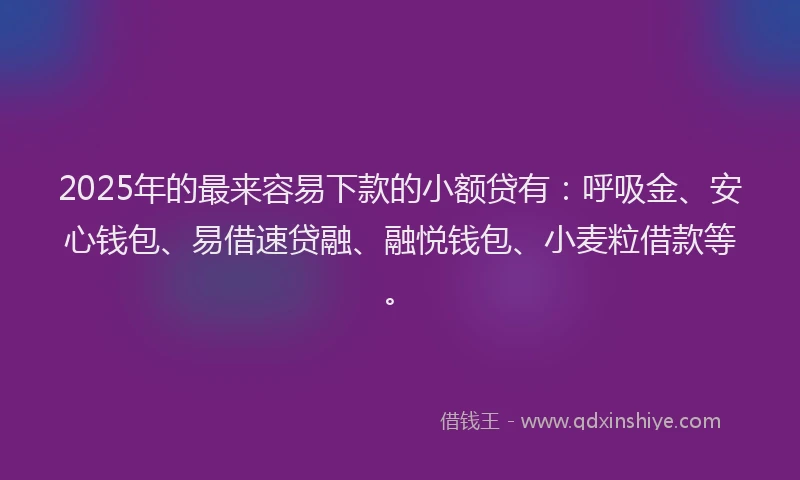 2025年的最来容易下款的小额贷有：呼吸金、安心钱包、易借速贷融、融悦钱包、小麦粒借款等。