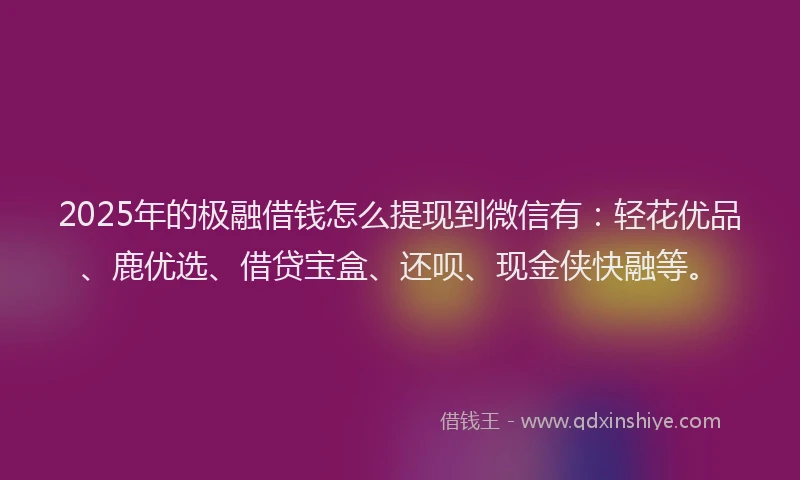 2025年的极融借钱怎么提现到微信有：轻花优品、鹿优选、借贷宝盒、还呗、现金侠快融等。