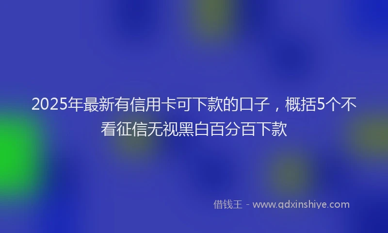 2025年最新有信用卡可下款的口子，概括5个不看征信无视黑白百分百下款