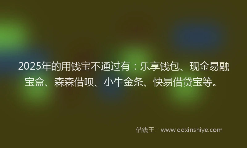 2025年的用钱宝不通过有：乐享钱包、现金易融宝盒、森森借呗、小牛金条、快易借贷宝等。