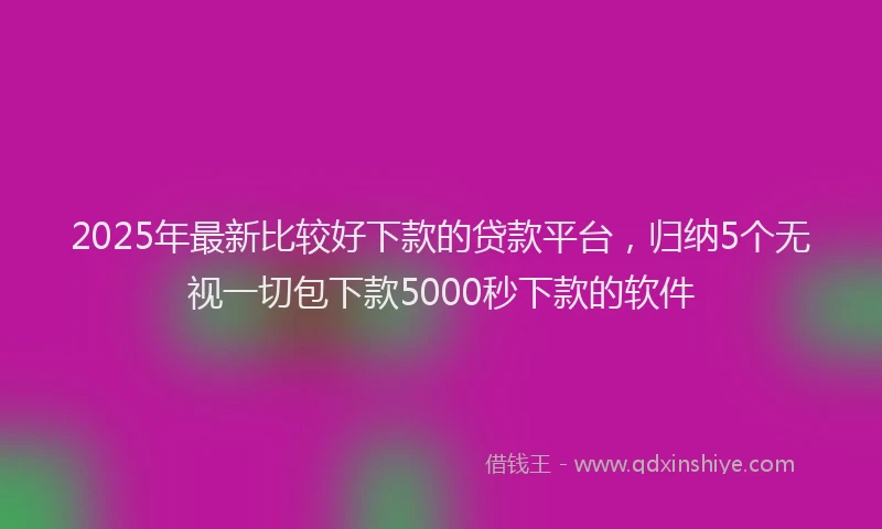2025年最新比较好下款的贷款平台，归纳5个无视一切包下款5000秒下款的软件
