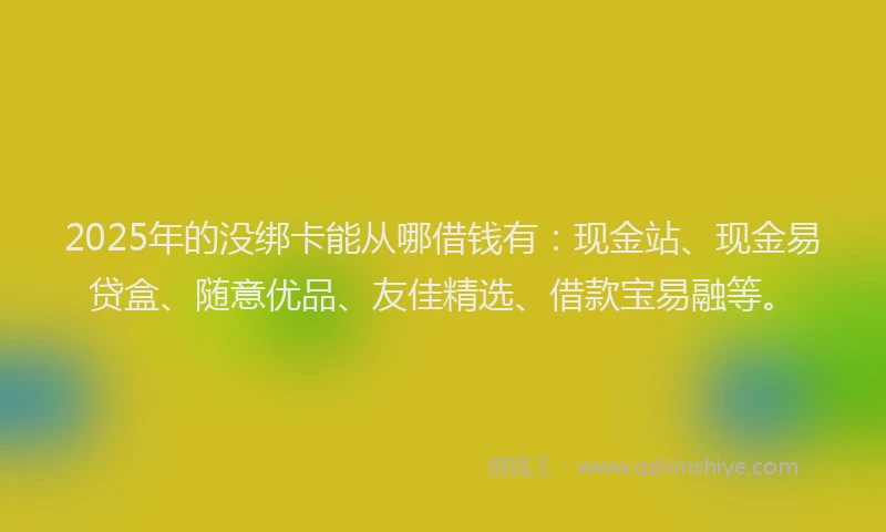 2025年的没绑卡能从哪借钱有：现金站、现金易贷盒、随意优品、友佳精选、借款宝易融等。