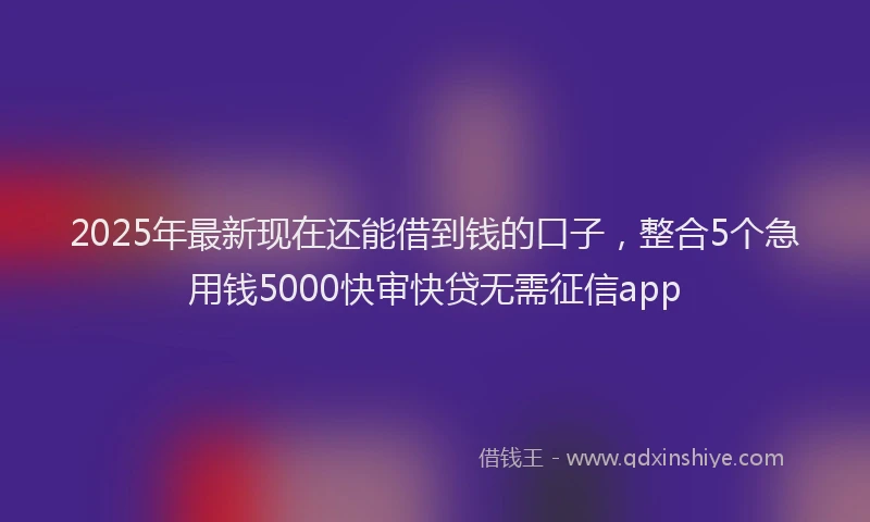 2025年最新现在还能借到钱的口子，整合5个急用钱5000快审快贷无需征信app