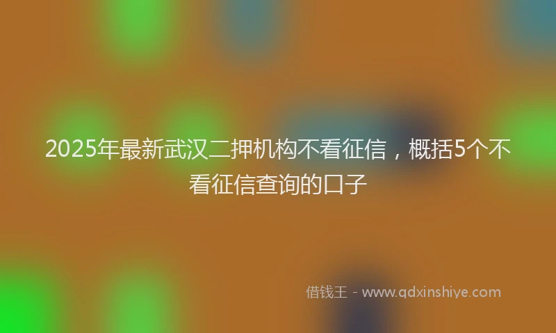 2025年最新武汉二押机构不看征信，概括5个不看征信查询的口子