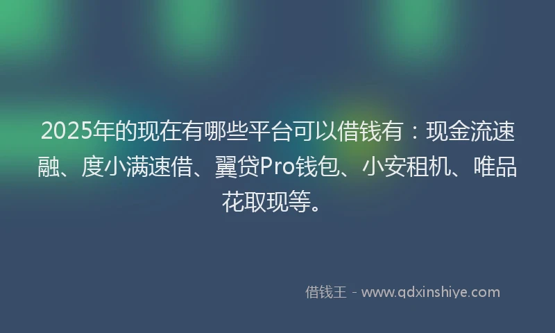 2025年的现在有哪些平台可以借钱有：现金流速融、度小满速借、翼贷Pro钱包、小安租机、唯品花取现等。