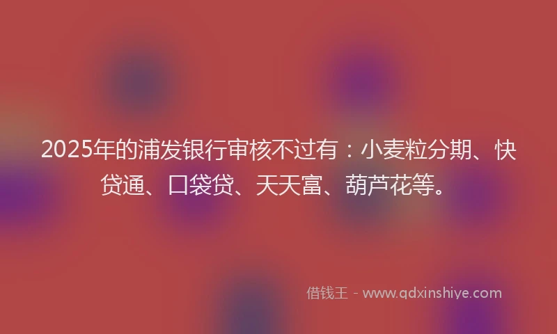 2025年的浦发银行审核不过有：小麦粒分期、快贷通、口袋贷、天天富、葫芦花等。