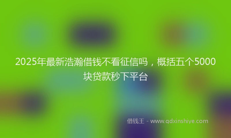 2025年最新浩瀚借钱不看征信吗，概括五个5000块贷款秒下平台