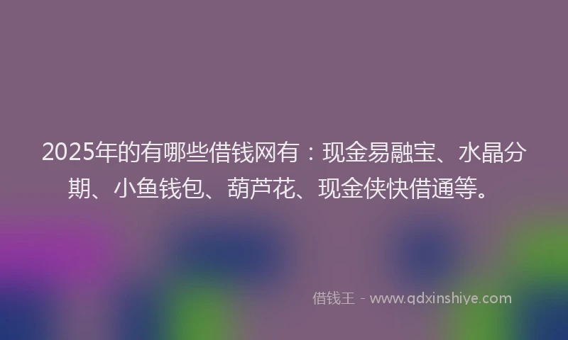 2025年的有哪些借钱网有：现金易融宝、水晶分期、小鱼钱包、葫芦花、现金侠快借通等。