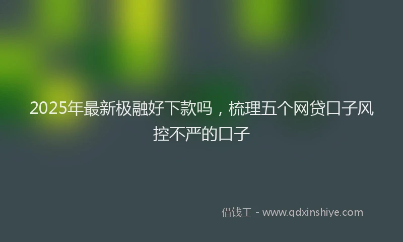 2025年最新极融好下款吗，梳理五个网贷口子风控不严的口子