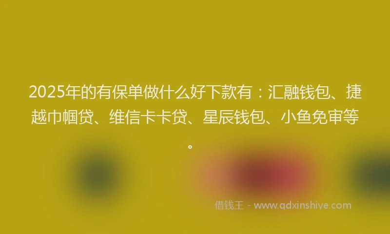 2025年的有保单做什么好下款有：汇融钱包、捷越巾帼贷、维信卡卡贷、星辰钱包、小鱼免审等。
