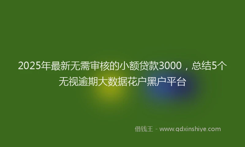 2025年最新无需审核的小额贷款3000，总结5个无视逾期大数据花户黑户平台
