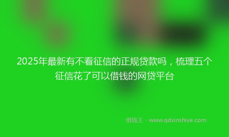 2025年最新有不看征信的正规贷款吗，梳理五个征信花了可以借钱的网贷平台