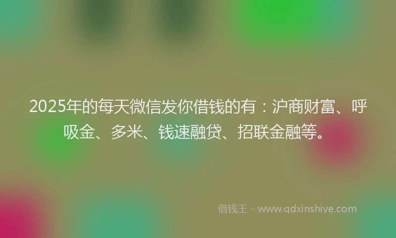 2025年的每天微信发你借钱的有：沪商财富、呼吸金、多米、钱速融贷、招联金融等。