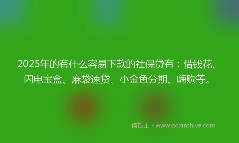 2025年的有什么容易下款的社保贷有：借钱花、闪电宝盒、麻袋速贷、小金鱼分期、嗨购等。