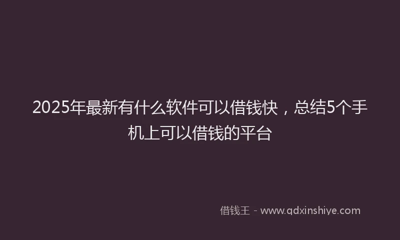 2025年最新有什么软件可以借钱快，总结5个手机上可以借钱的平台