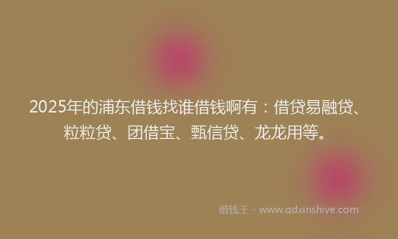 2025年的浦东借钱找谁借钱啊有：借贷易融贷、粒粒贷、团借宝、甄信贷、龙龙用等。
