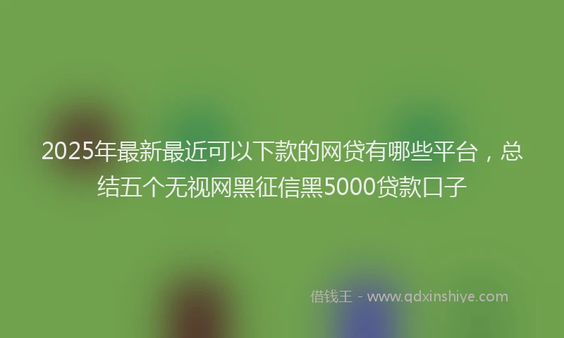 2025年最新最近可以下款的网贷有哪些平台，总结五个无视网黑征信黑5000贷款口子