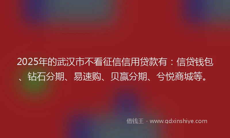 2025年的武汉市不看征信信用贷款有：信贷钱包、钻石分期、易速购、贝赢分期、兮悦商城等。
