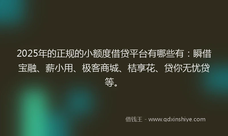 2025年的正规的小额度借贷平台有哪些有：瞬借宝融、薪小用、极客商城、桔享花、贷你无忧贷等。
