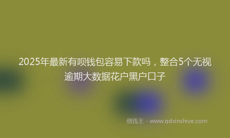 2025年最新有呗钱包容易下款吗，整合5个无视逾期大数据花户黑户口子