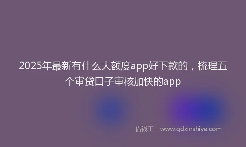 2025年最新有什么大额度app好下款的，梳理五个审贷口子审核加快的app