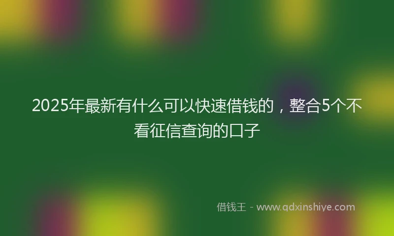 2025年最新有什么可以快速借钱的，整合5个不看征信查询的口子