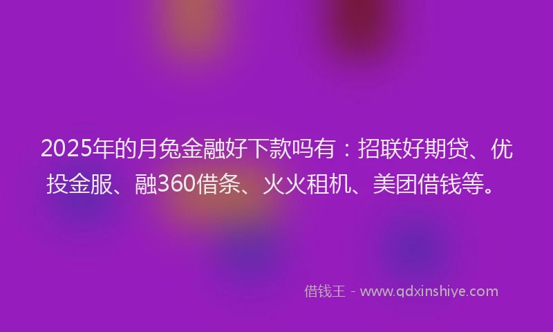 2025年的月兔金融好下款吗有：招联好期贷、优投金服、融360借条、火火租机、美团借钱等。