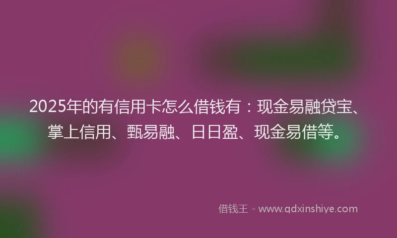 2025年的有信用卡怎么借钱有：现金易融贷宝、掌上信用、甄易融、日日盈、现金易借等。