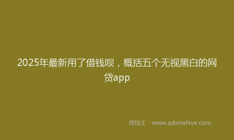 2025年最新用了借钱呗，概括五个无视黑白的网贷app