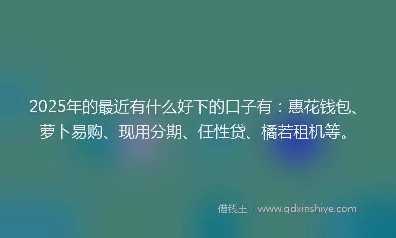 2025年的最近有什么好下的口子有：惠花钱包、萝卜易购、现用分期、任性贷、橘若租机等。