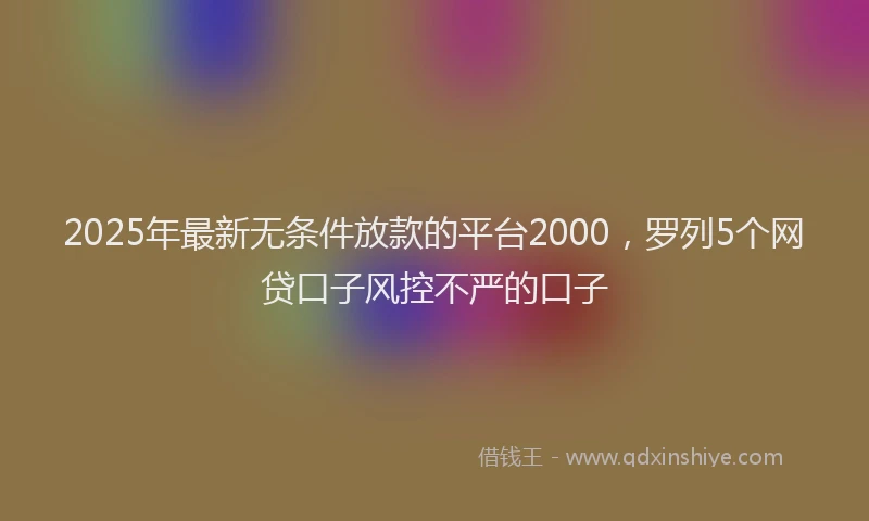 2025年最新无条件放款的平台2000，罗列5个网贷口子风控不严的口子