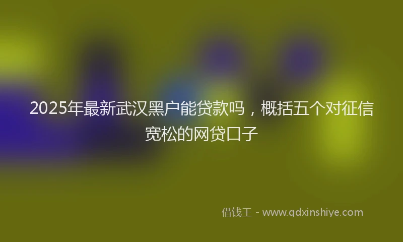 2025年最新武汉黑户能贷款吗，概括五个对征信宽松的网贷口子