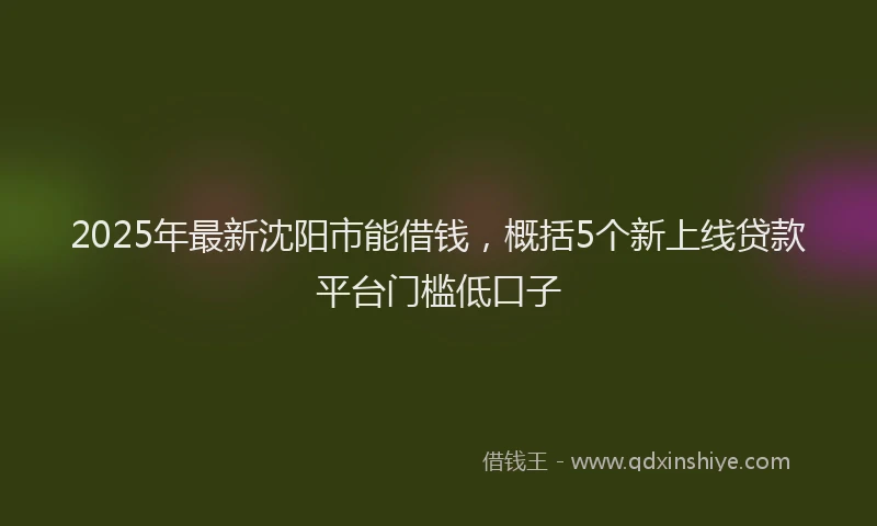 2025年最新沈阳市能借钱，概括5个新上线贷款平台门槛低口子